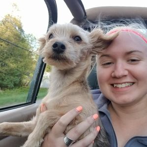 Meet your Posher, Ashley